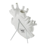 'Love in Bloom' Heart Vase | White