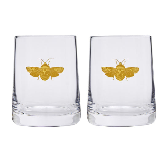 Tumbler Set | Creatures of Curiosity | 2-Piece