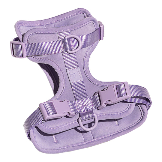 Cushioned Dog Harness | Lilac