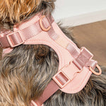 Cushioned Dog Harness | Pink